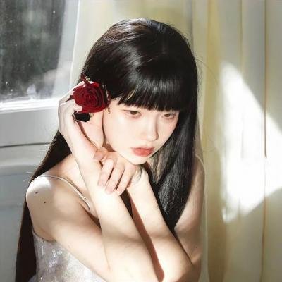 会长是女仆 特别篇
